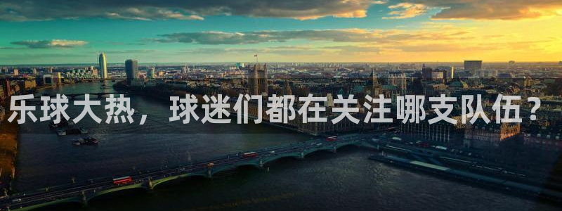乐球大热，球迷们都在关注哪支队伍？