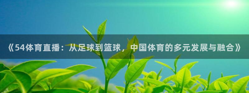《54体育直播：从足球到篮球，中国体育的多元发展与融合》
