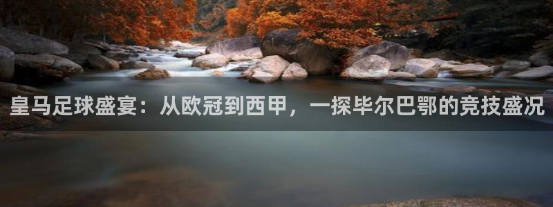 皇马足球盛宴：从欧冠到西甲，一探毕尔巴鄂的竞技盛况