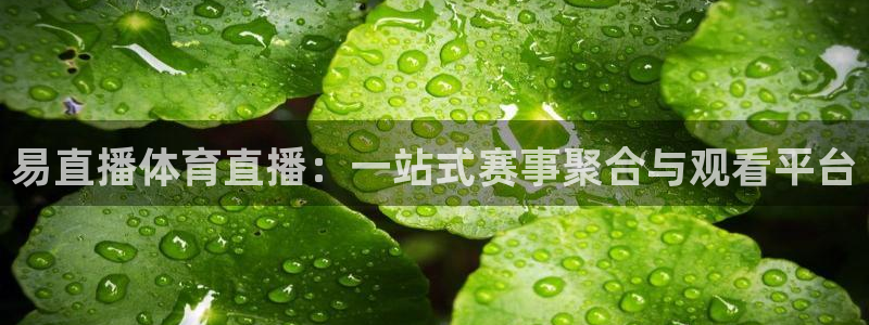 易直播体育直播：一站式赛事聚合与观看平台
