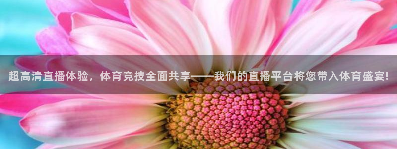 超高清直播体验，体育竞技全面共享——我们的直播平台将您带入体育盛宴!