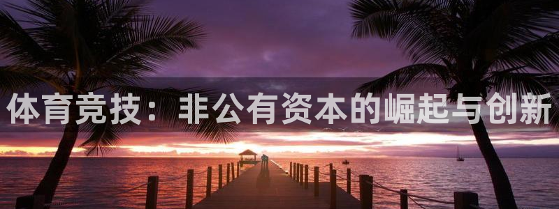 体育竞技：非公有资本的崛起与创新