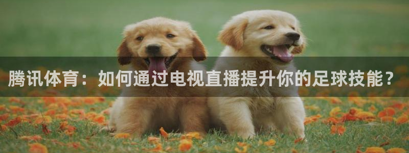 腾讯体育：如何通过电视直播提升你的足球技能？