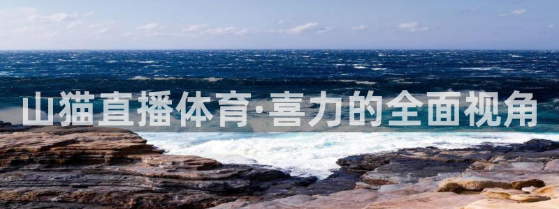 山猫直播体育·喜力的全面视角