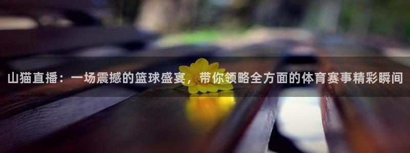 山猫直播：一场震撼的篮球盛宴，带你领略全方面的体育赛事精彩瞬间