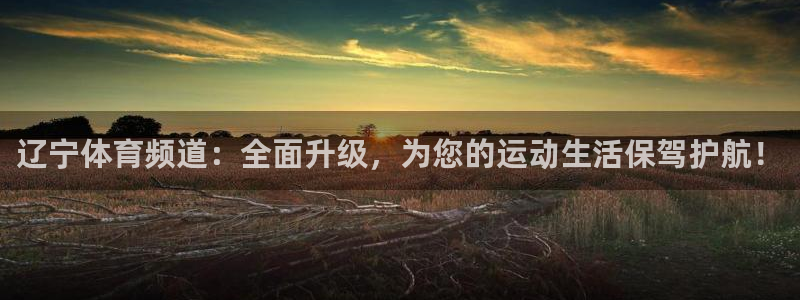 辽宁体育频道：全面升级，为您的运动生活保驾护航！