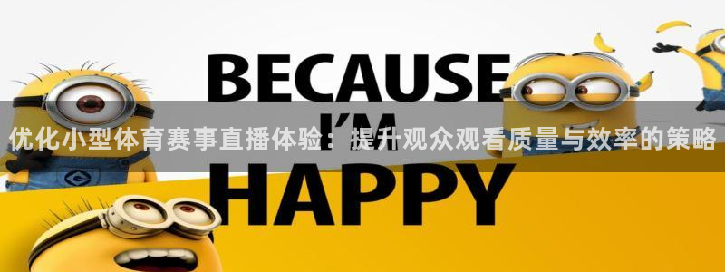 优化小型体育赛事直播体验：提升观众观看质量与效率的策略