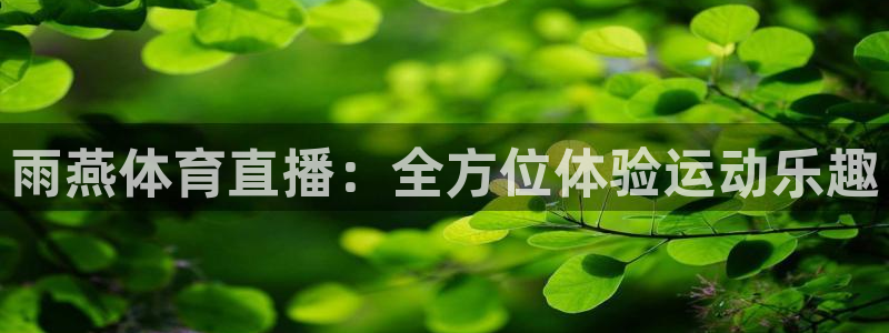 雨燕体育直播：全方位体验运动乐趣