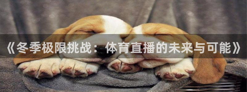《冬季极限挑战：体育直播的未来与可能》