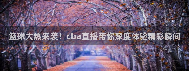 篮球大热来袭！cba直播带你深度体验精彩瞬间