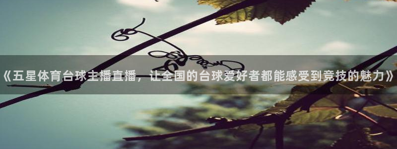 《五星体育台球主播直播，让全国的台球爱好者都能感受到竞技的魅力》