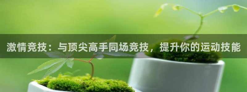 激情竞技：与顶尖高手同场竞技，提升你的运动技能