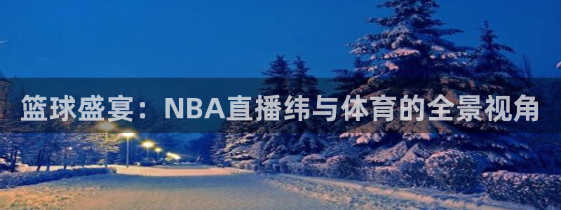 篮球盛宴：NBA直播纬与体育的全景视角