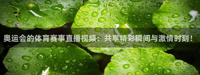 奥运会的体育赛事直播视频：共享精彩瞬间与激情时刻！