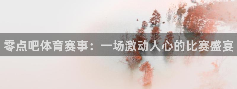 零点吧体育赛事：一场激动人心的比赛盛宴