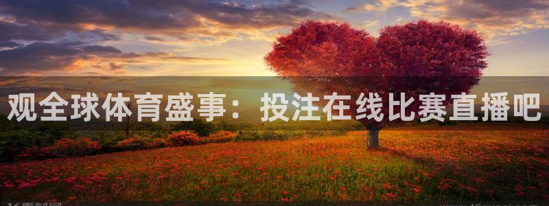 观全球体育盛事：投注在线比赛直播吧