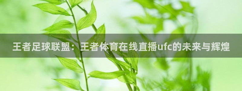 王者足球联盟：王者体育在线直播ufc的未来与辉煌