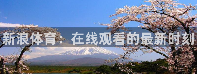 新浪体育：在线观看的最新时刻