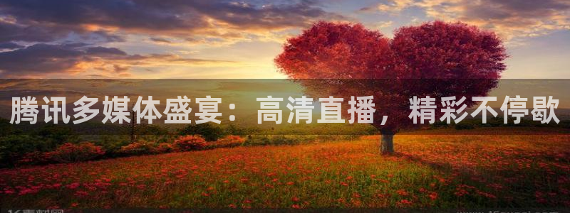 腾讯多媒体盛宴：高清直播，精彩不停歇
