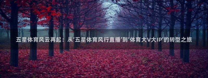 五星体育风云再起：从‘五星体育风行直播’到‘体育大V大IP’的转型之旅