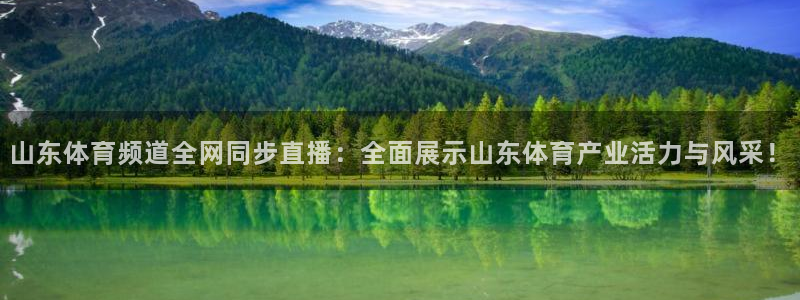 山东体育频道全网同步直播：全面展示山东体育产业活力与风采！