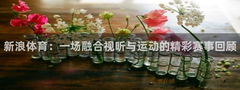 新浪体育：一场融合视听与运动的精彩赛事回顾