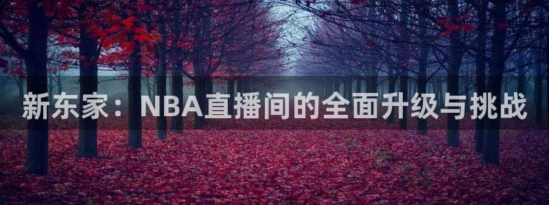 新东家：NBA直播间的全面升级与挑战