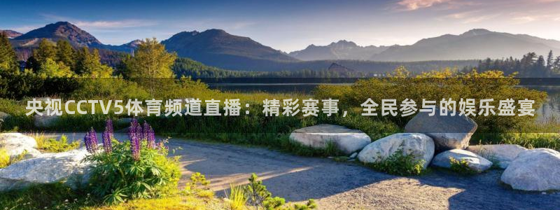 央视CCTV5体育频道直播：精彩赛事，全民参与的娱乐盛宴
