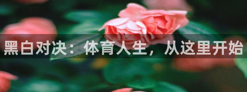 黑白对决：体育人生，从这里开始