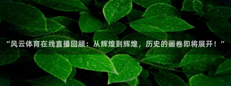 “风云体育在线直播回顾：从辉煌到辉煌，历史的画卷即将展开！”