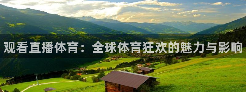 观看直播体育：全球体育狂欢的魅力与影响