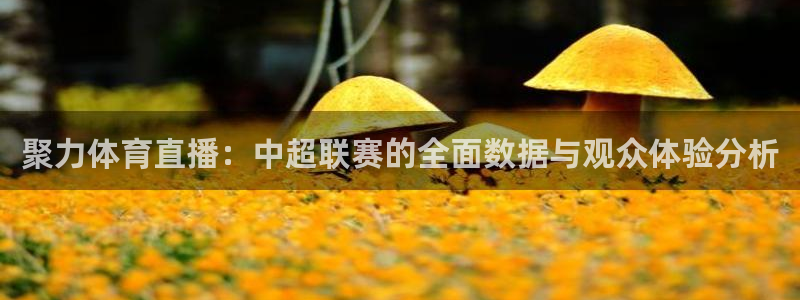 聚力体育直播：中超联赛的全面数据与观众体验分析