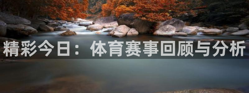 精彩今日：体育赛事回顾与分析