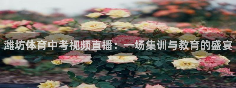 潍坊体育中考视频直播：一场集训与教育的盛宴