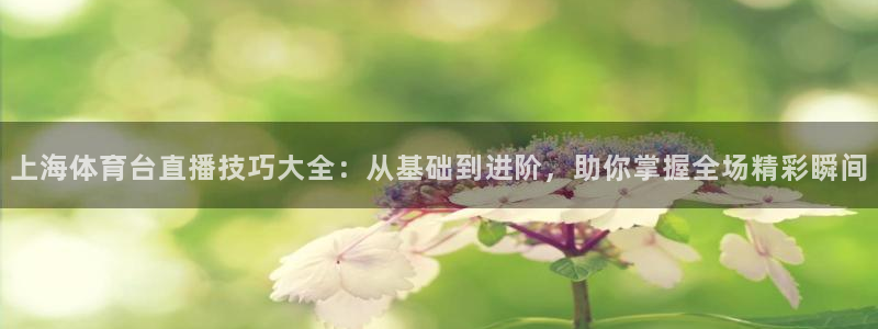 上海体育台直播技巧大全：从基础到进阶，助你掌握全场精彩瞬间