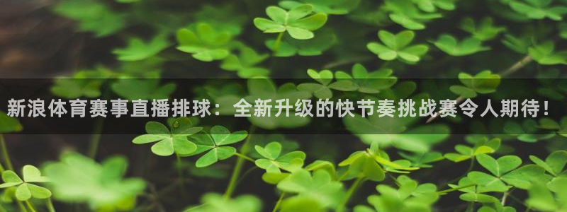 新浪体育赛事直播排球：全新升级的快节奏挑战赛令人期待！