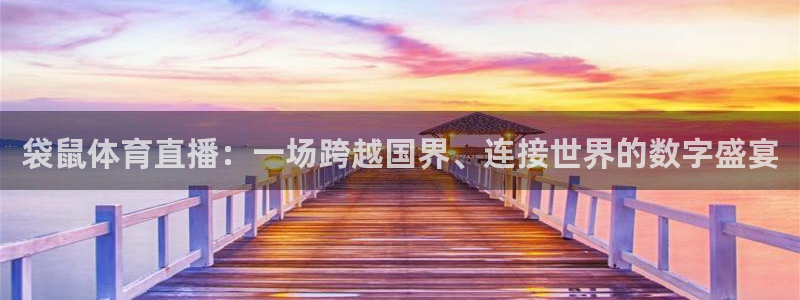 袋鼠体育直播：一场跨越国界、连接世界的数字盛宴