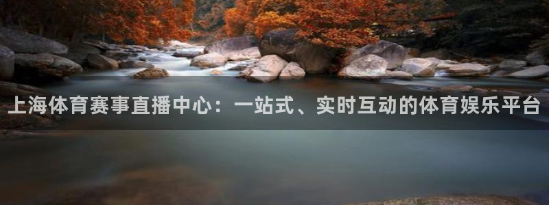 上海体育赛事直播中心：一站式、实时互动的体育娱乐平台