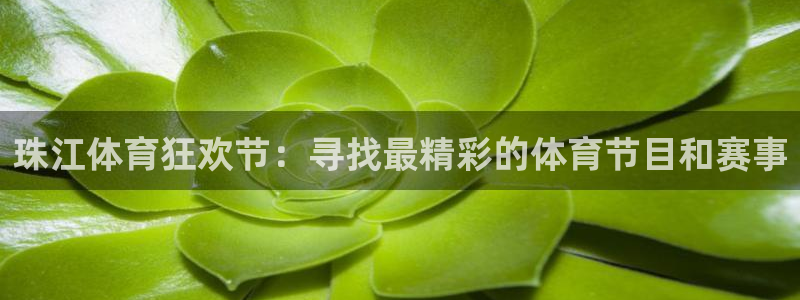 珠江体育狂欢节：寻找最精彩的体育节目和赛事