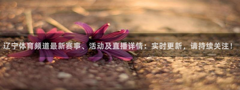 辽宁体育频道最新赛事、活动及直播详情：实时更新，请持续关注！