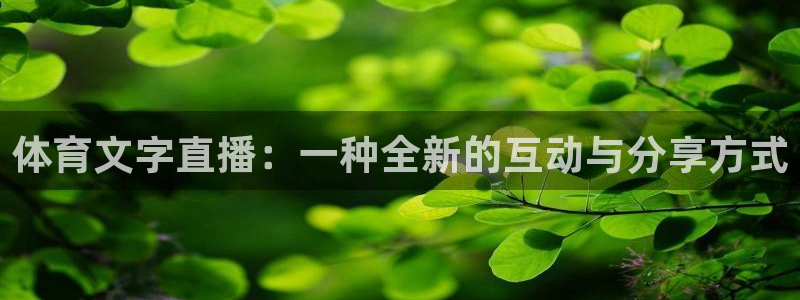 体育文字直播：一种全新的互动与分享方式