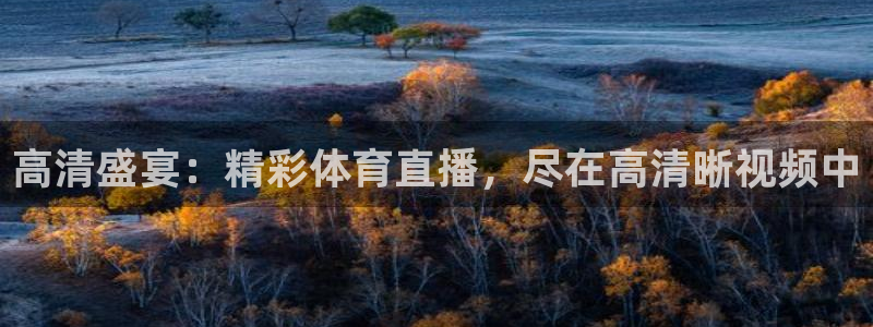 高清盛宴：精彩体育直播，尽在高清晰视频中