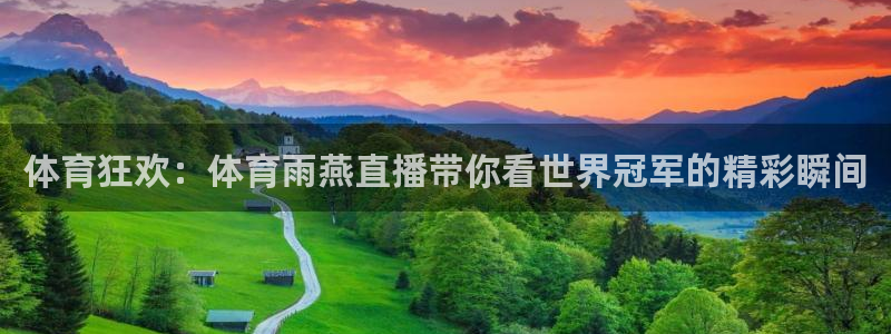体育狂欢：体育雨燕直播带你看世界冠军的精彩瞬间