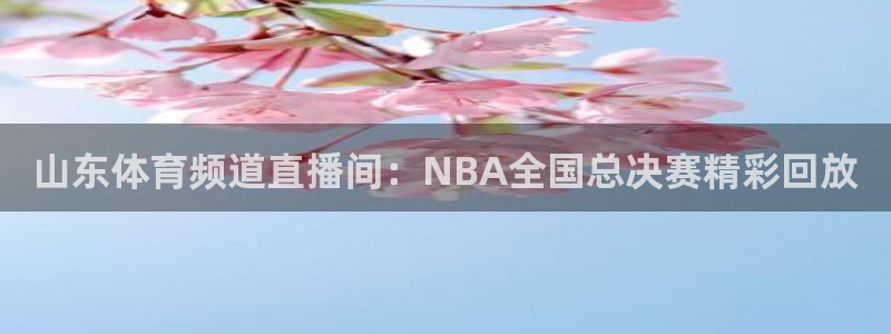 山东体育频道直播间：NBA全国总决赛精彩回放