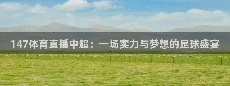 147体育直播中超：一场实力与梦想的足球盛宴