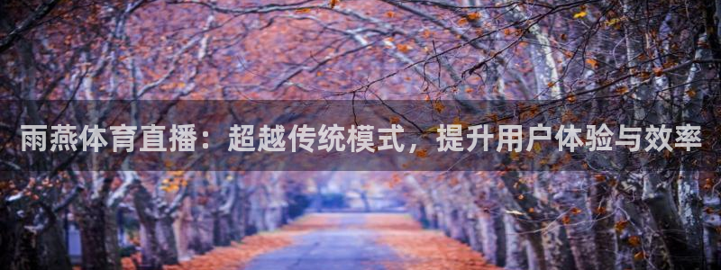 雨燕体育直播：超越传统模式，提升用户体验与效率