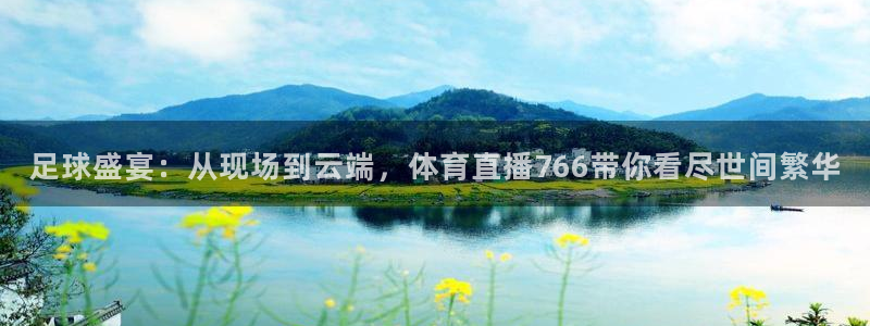 足球盛宴：从现场到云端，体育直播766带你看尽世间繁华