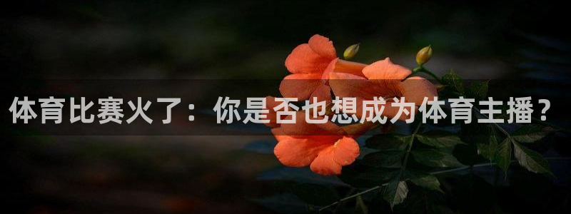 体育比赛火了：你是否也想成为体育主播？