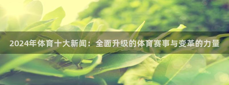 2024年体育十大新闻：全面升级的体育赛事与变革的力量