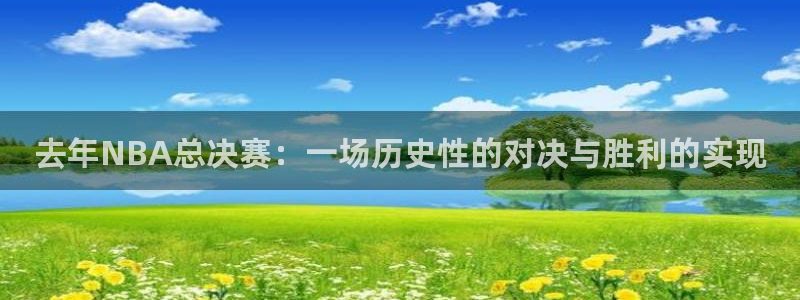 去年NBA总决赛：一场历史性的对决与胜利的实现